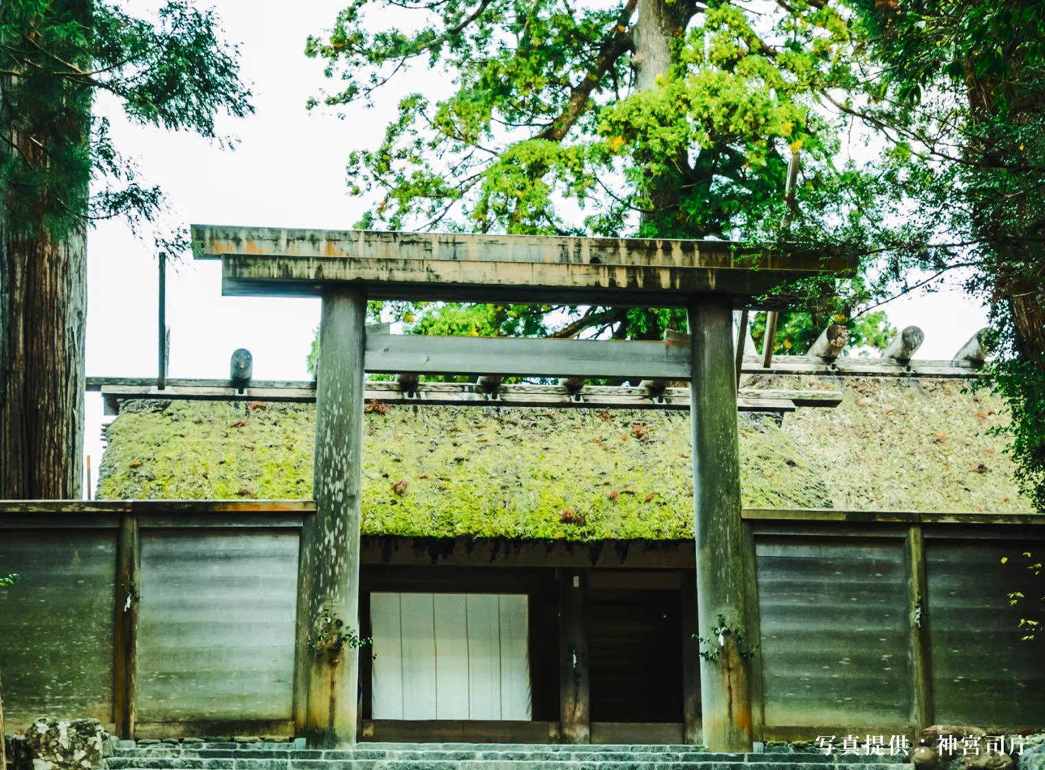 伊势神宫(内宫)