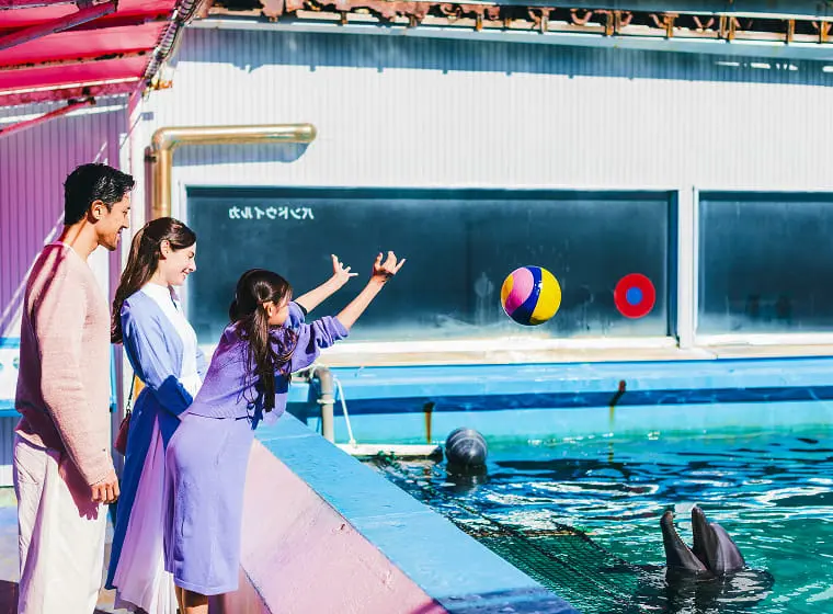 伊势西帕拉德斯