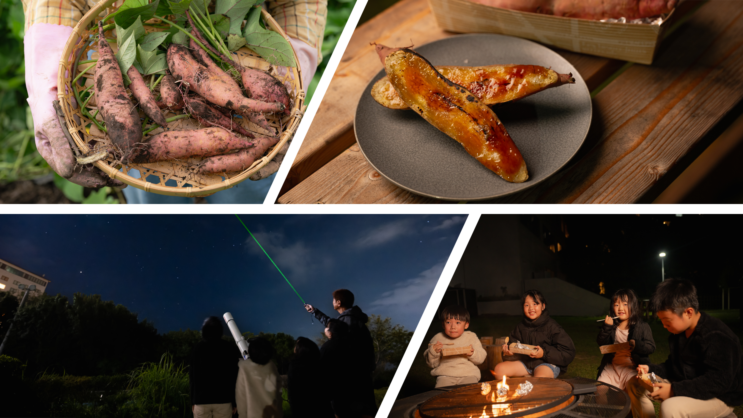 【The Matoya Village】밤하늘 관찰 & 고구마로 가을의 밤길을 즐긴다